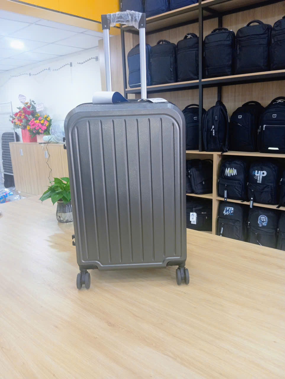VALI NHỰA 24INCH NMC01